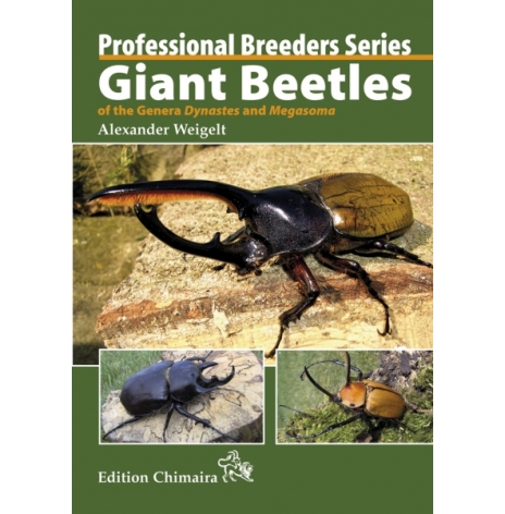 Giant Beetles