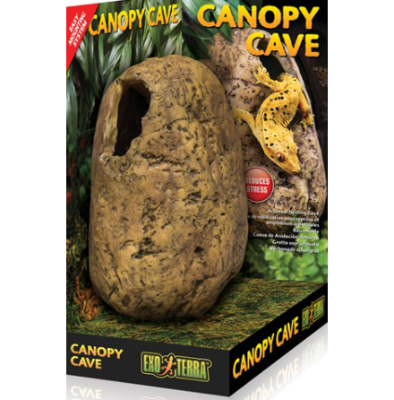 Canopy cave