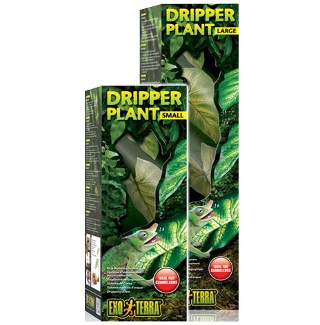 Dripper Plant S