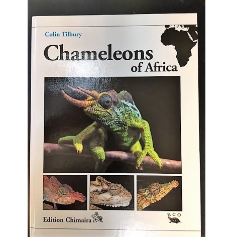 Chameleons of Afrika