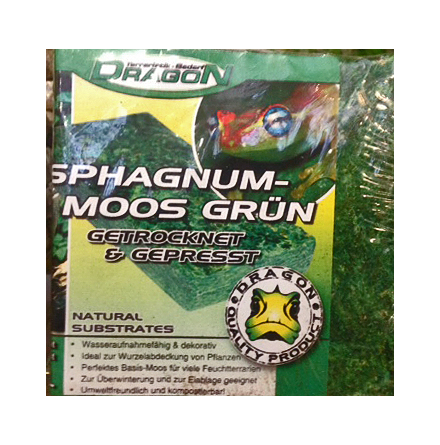 Grön Sphagnum mossa 100 gr